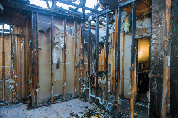 Professional Fire Damage Assessment technician working in Woodbine, NJ