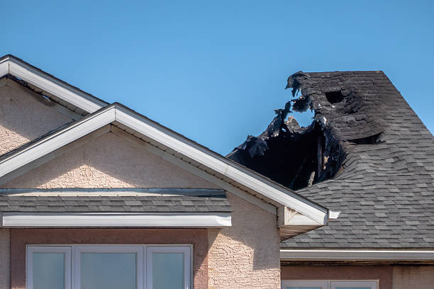 Top rated local Odor Removal specialists in Woodbine, NJ